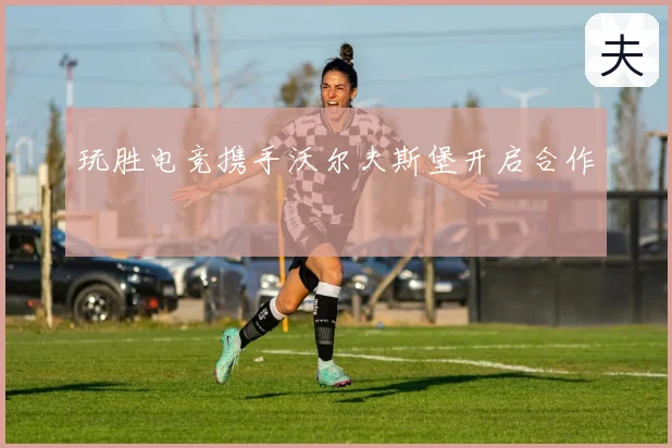 玩胜电竞携手沃尔夫斯堡开启合作